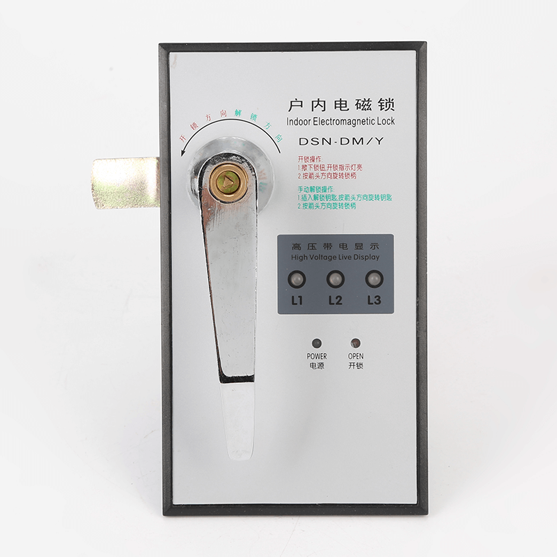 Dsn-dm y (z) indoor electromagnetic lock