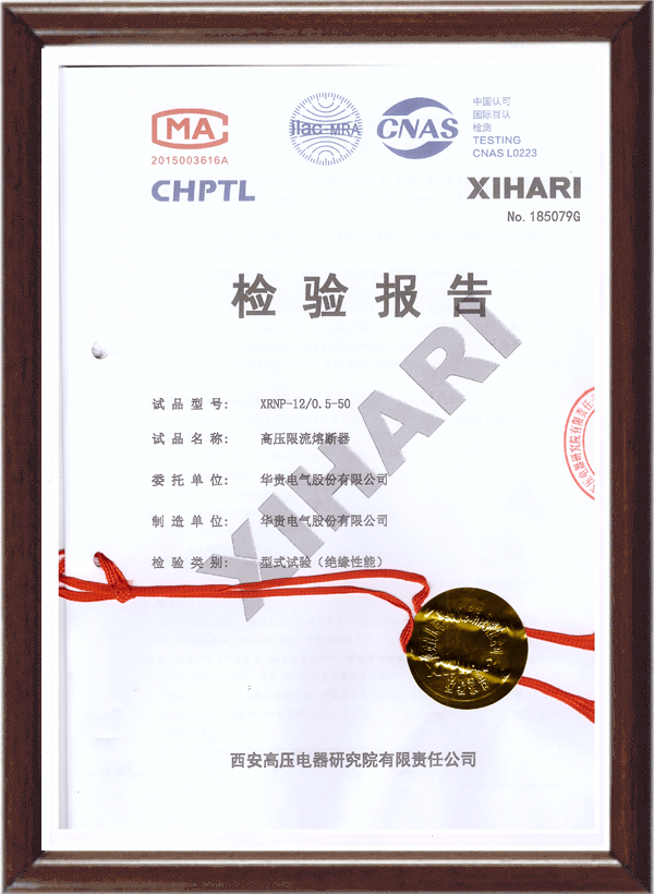 熔断器XRNP-12检验报告